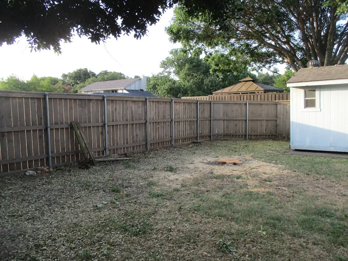 Cleared yard after professional tree removal in Cogan Station