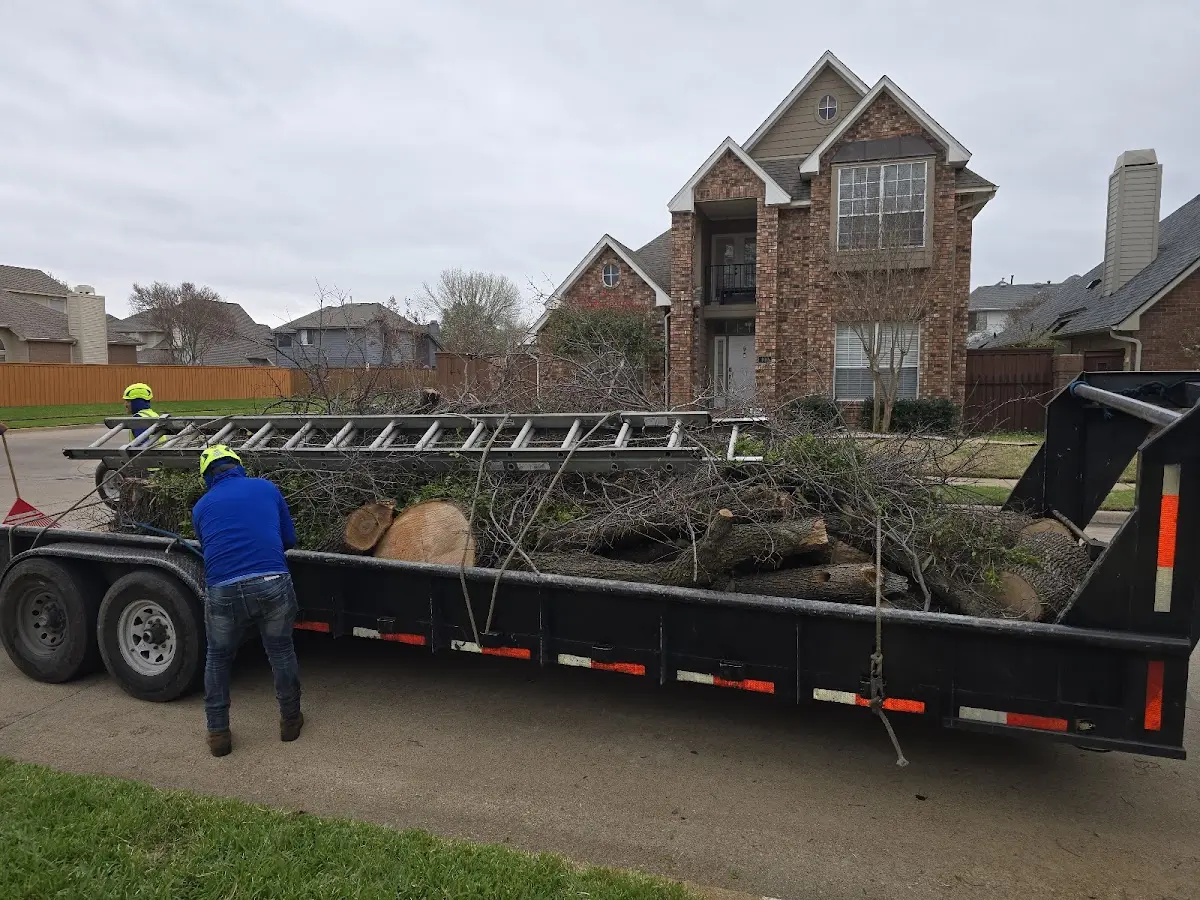 Expert Tree Pest Control with proper safety equipment in Cogan Station